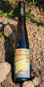 gewurztraminer-sgn2007-beckhartweg